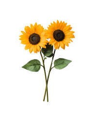 Two vibrant sunflowers with dark centers and green leaves, positioned upright to showcase their bright, cheerful appearance.