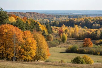forest landscape with orange yellow trees changing color, outdoor scene, woodland, sunny day