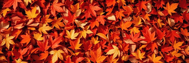 Richly detailed image of fallen autumn leaves in shades of orange, red, and yellow, seasonal change, forest floor, outdoors