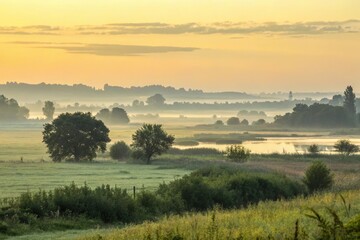 Obraz premium Watercolor washes in shades of yellow-green, gradating to lighter hues, reminiscent of a serene landscape at dawn, watercolor, background, sunrise, calming