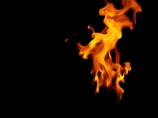 Fototapeta premium a blazing fire with dancing flames against a dark black background, intense, blazing, warm