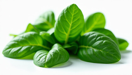 Fototapeta premium Fresh Green Spinach Leaves - Vibrant and Healthy