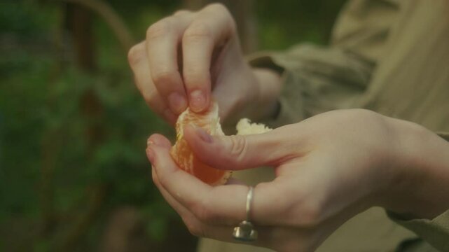 A rginger young woman sits on a wooden bridge in an orange orchard and eats an orange