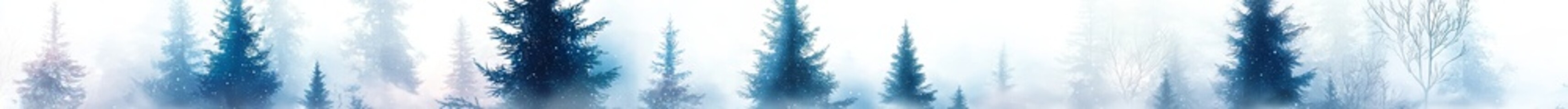 Christmas trees in the forest.