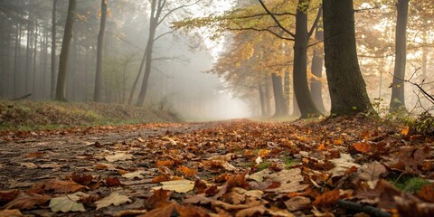 Fototapeta premium A faint mist rises from the forest floor, veiling the autumn leaves in a soft, ethereal glow, earthy tones, misty atmosphere