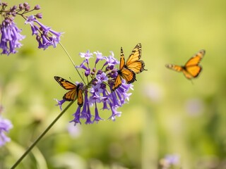 A cluster of purple flowers sways in the breeze, as a pair of butterflies dance around them, abstract backgrounds, garden design, flower petals