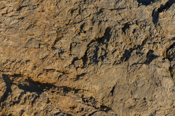 Detailed textures of natural rock formations under bright sunlight at a remote outdoor location.