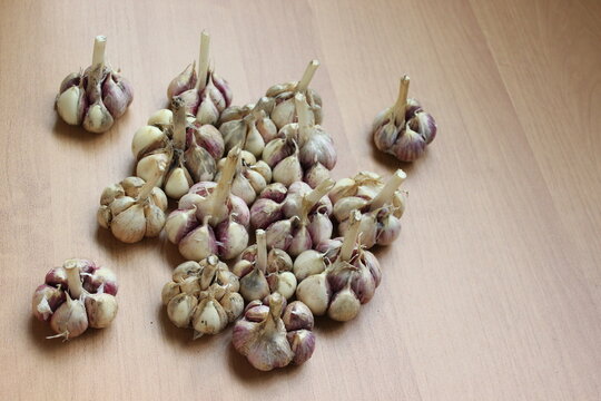 garlic on wooden background