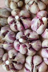 fresh organic garlic