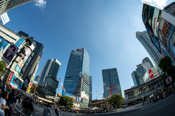 【東京】2024年　秋　渋谷駅前のスクランブル交差点【日本】