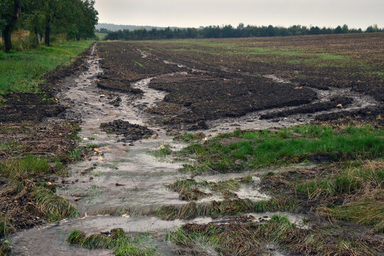 Water erosion flood in the field after rain