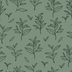 Matcha tea leaves seamless pattern. Outline branches and leaves on soft green background.