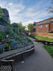 Fototapeta premium Flowerbed by the canal