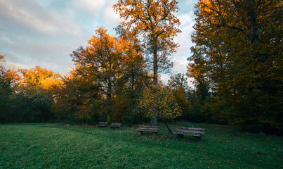 Herbstlicher Sonnenaufgang auf einer Wiese im Rotwildpark bei Stuttgart. Holzbänke und herbstliche...