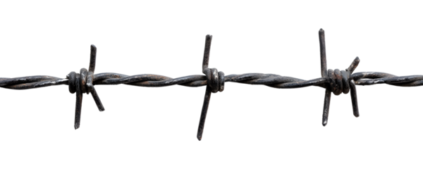 Barbed wire on a transparent background. isolated background.