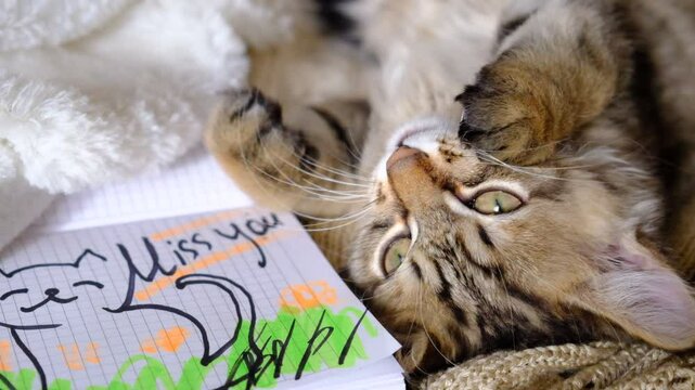 Text Miss You and pretty cute kitten relaxing on the bed. Tabby cat. Funny pets. Napping kitten. Valentines Day, Birthday, Dating