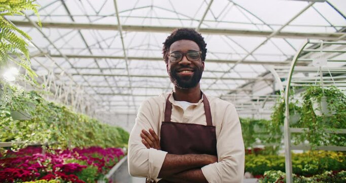 Handsome African American male standing in middle of row of greenhouse. Wearing glasses and brown apron on top of shirt. Confidently crossing his hands before looking at camera and smiling.