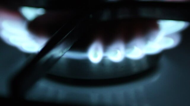 gas stove burner