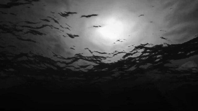 Dark Ocean Surface From Below Loop 4k