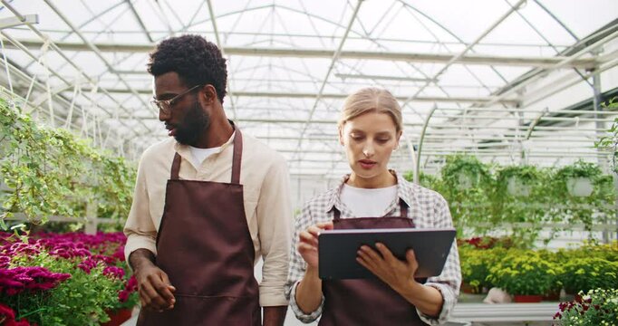 Husband and wife walking together inside of plant house. Woman holding big tablet device. Talking about restocking supplies of new exotic flowers or plants. Pointing at different locations.