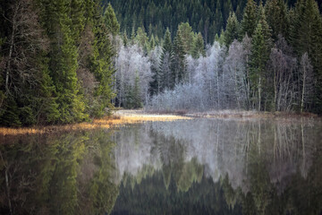 Autumn frost at the lake Selbu, Norway
