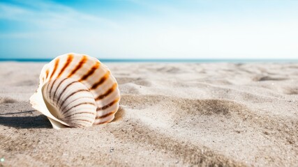 Seashell on the Beach: A seashell lies nestled in the soft, white sand, bathed in the warm glow of the sun. The azure sky and tranquil ocean create a serene and inviting atmosphere. Generative Al