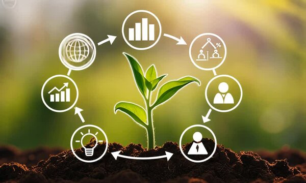green seedling emerging from rich soil, surrounded by circular eco-themed icons symbolizing growth, sustainability, energy, carbon dioxide reduction, and environmental impact