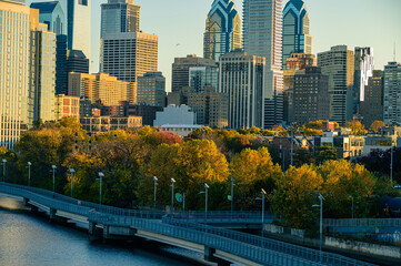 Fototapeta premium Green in the city