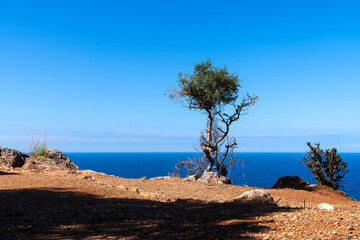 Wandern auf dem GR 221 um Port de Soller