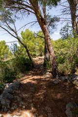 Wandern auf dem GR 221 um Port de Soller