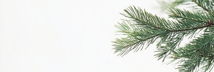 Obraz premium A lush green fir branch significantly enhances holiday decorations, adding a unique and natural touch to every festive setting, making it perfect for creating garlands and beautiful indoor decor