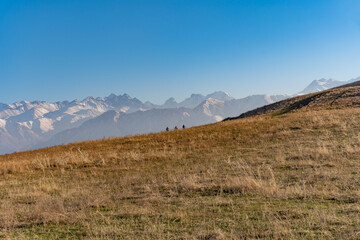 A view of a hill overgrown with yellow autumn dry grass and three cyclists climbing it against the background of a clear blue sky and high mountain peaks in the distance.