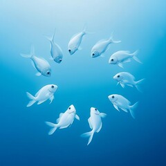Fototapeta premium Pisces fish in circle, calm underwater balance