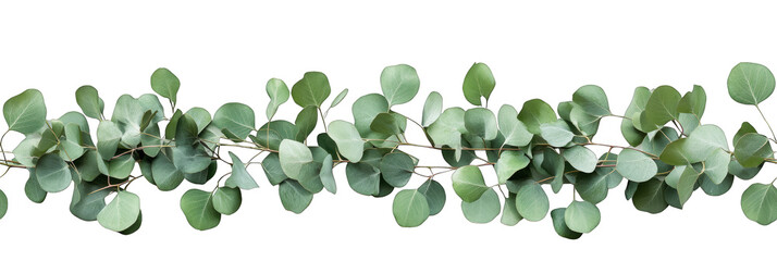 green eucalyptus leaves branch arrangement natural decor seamless pattern transparent background