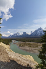Goats and Glaciers in the Spring