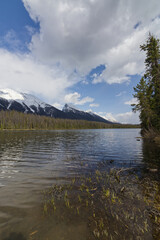 Honeymoon Lake in the Spring