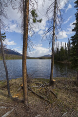 Honeymoon Lake in the Spring