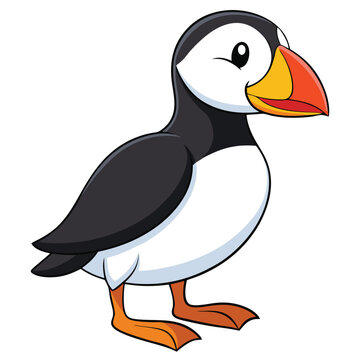 recommend clip art: Puffin bird. Vector illustration of colorful puffin bird isolated on white. Flat design