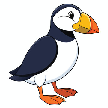 recommend clip art: Puffin bird. Vector illustration of colorful puffin bird isolated on white. Flat design
