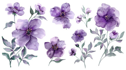 
Variation
31w


Hand painted watercolor purple flower set nature on white background. Watercolor artwork illustration for Valentine day, Mother day, wedding, save date card, birthday or annivers