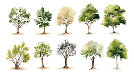 Set of watercolor green tree isolated on white background for landscape and architecture drawing, elements for environment and garden, botanical for section in spring