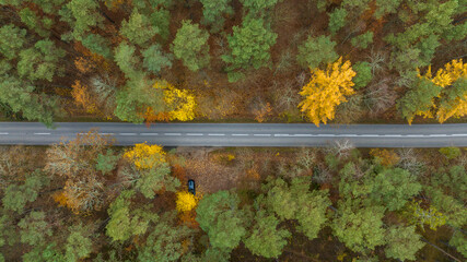 Drone view of the road, autumn