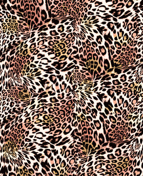 animal skin pattern. leopard print.