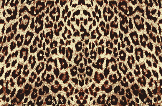 animal skin pattern. leopard print.