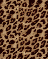 animal skin pattern. leopard print.