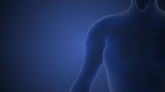 Medical concept of the human scapula pain
