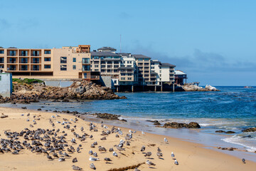 Cannery Row, California with city and ocean