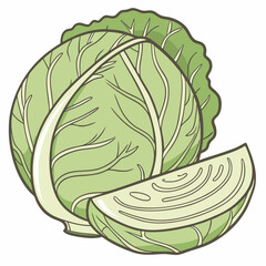 cabbage isolated on white