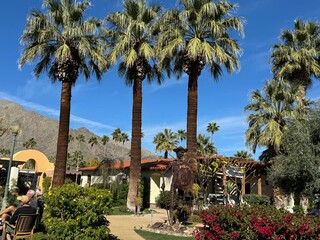 Palm Spring, CA