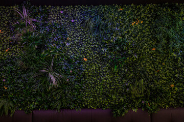 jard&iacute;n vertical-02